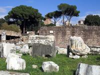 Ruinen und Pinien im Forum Romanum